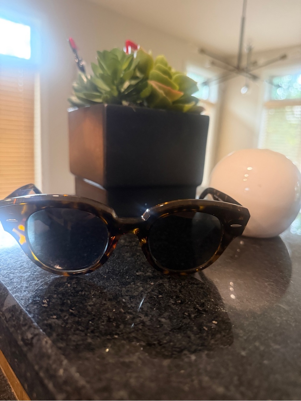 Ray-Ban Tortoiseshell Round Sunglasses with Dark Lenses